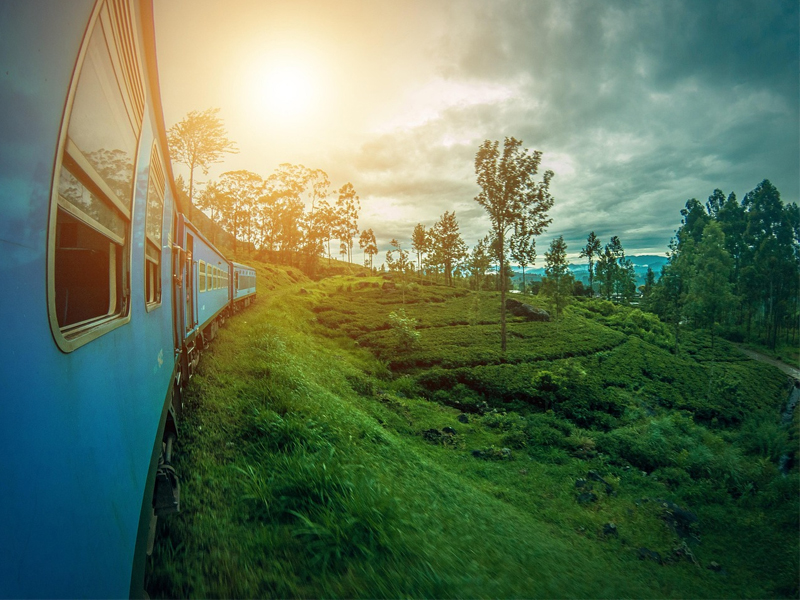 Custom Tour Planning